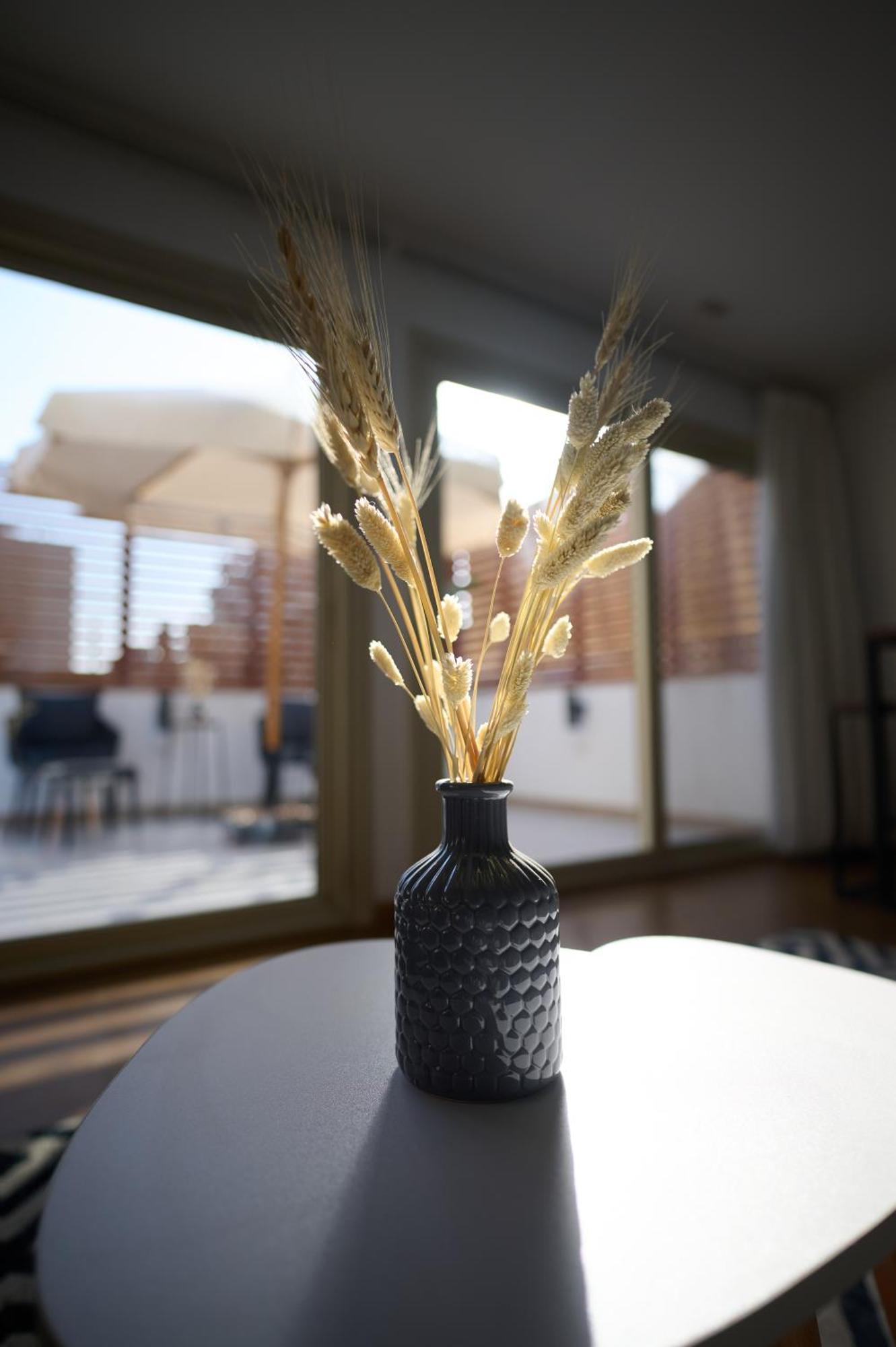 Apartment Charmantes Studio I Dachterrasse I Smart-tv I Ac